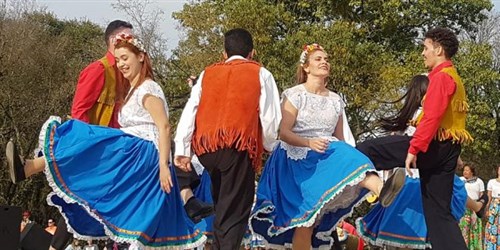 50 ANOS: Grupo Folclórico Banzé recebe homenagem da ALMG 50 ANOS: Grupo Folclórico Banzé recebe homenagem da ALMG
