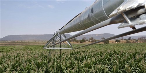 Capitão Enéas: energia solar abate custo na agricultura irrigada Capitão Enéas: energia solar abate custo na agricultura irrigada