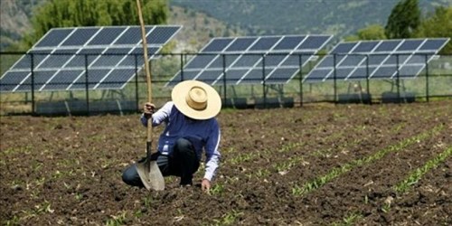 Parceria estimula pequenos produtores a gerarem energia renovável Parceria estimula pequenos produtores a gerarem energia renovável