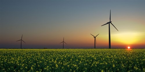 ONU reabre inscrições para curso técnico gratuito em energias renováveis ONU reabre inscrições para curso técnico gratuito em energias renováveis