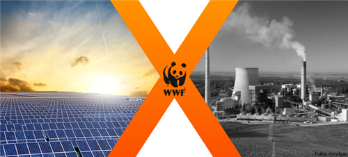 Investir em energia solar custa 8 vezes menos que em termelétricas, diz WWF Investir em energia solar custa 8 vezes menos que em termelétricas, diz WWF
